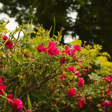 Longford Blue Sky Self Catering Nyaraló