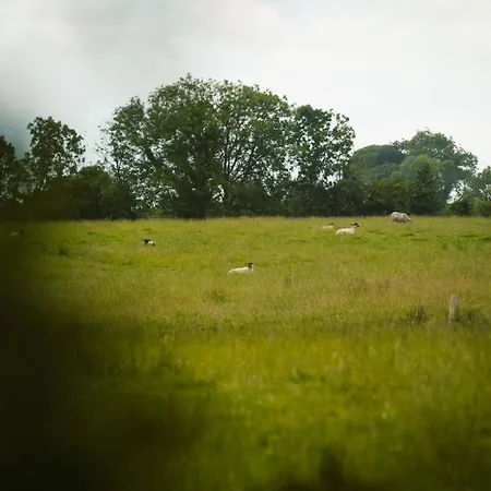 Nyaraló Longford Blue Sky Self Catering