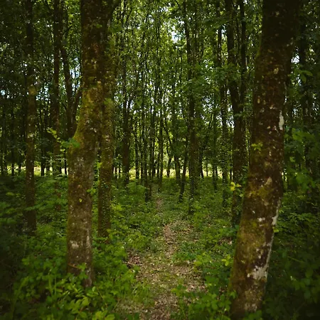 Longford Blue Sky Self Catering בית נופש *