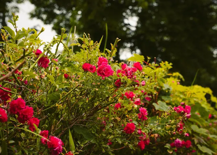 Longford Blue Sky Self Catering Сasa de vacaciones