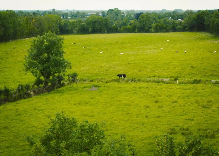 Longford Blue Sky Self Catering *