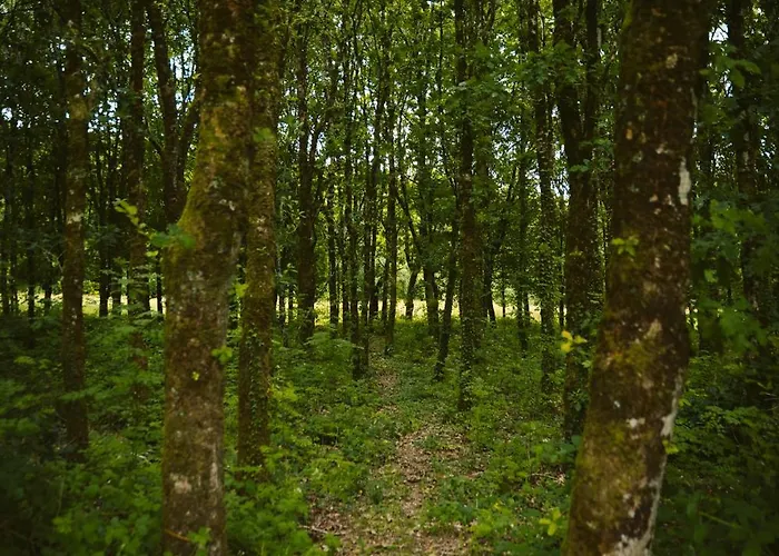 Longford Blue Sky Self Catering Hébergement de vacances *